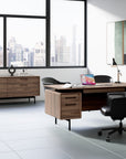 BDI Linq Credenza