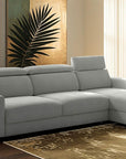 Luonto Elliot Queen Sectional Sleeper Sofa