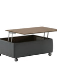 Luonto Functional Coffee Table