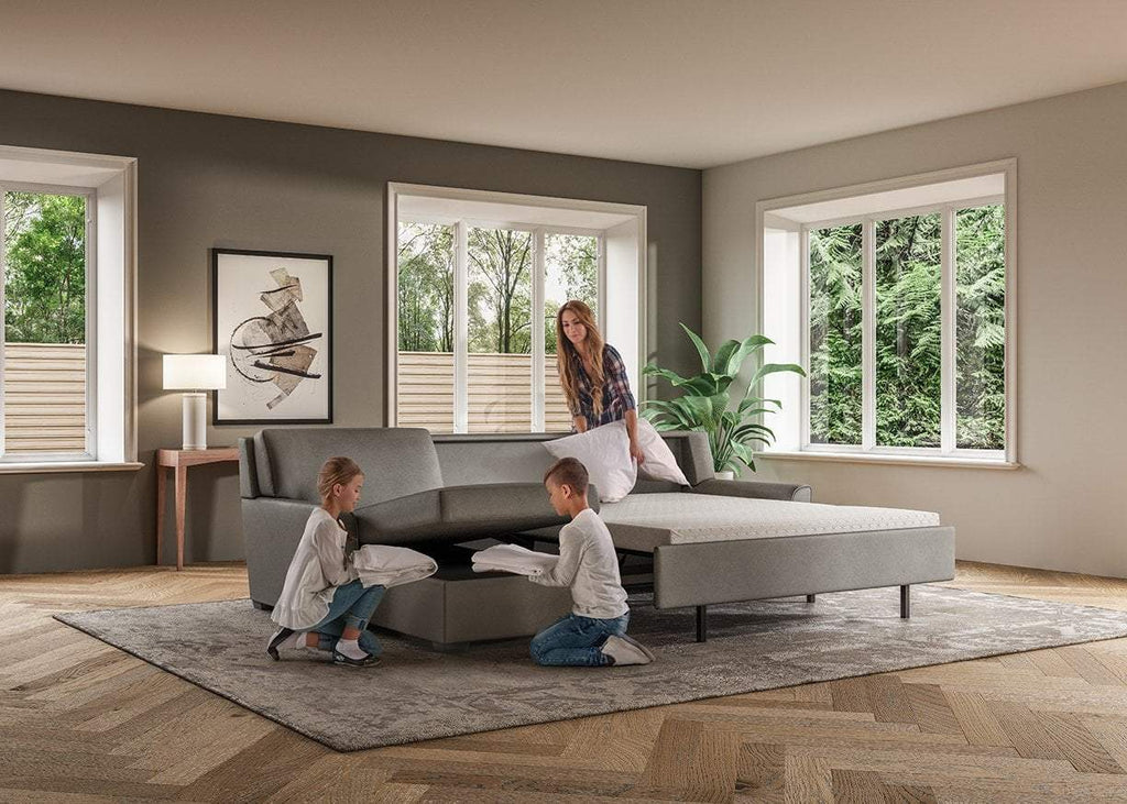 Klein Comfort Sleeper American Leather