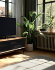 BDI Linq Media Cabinet