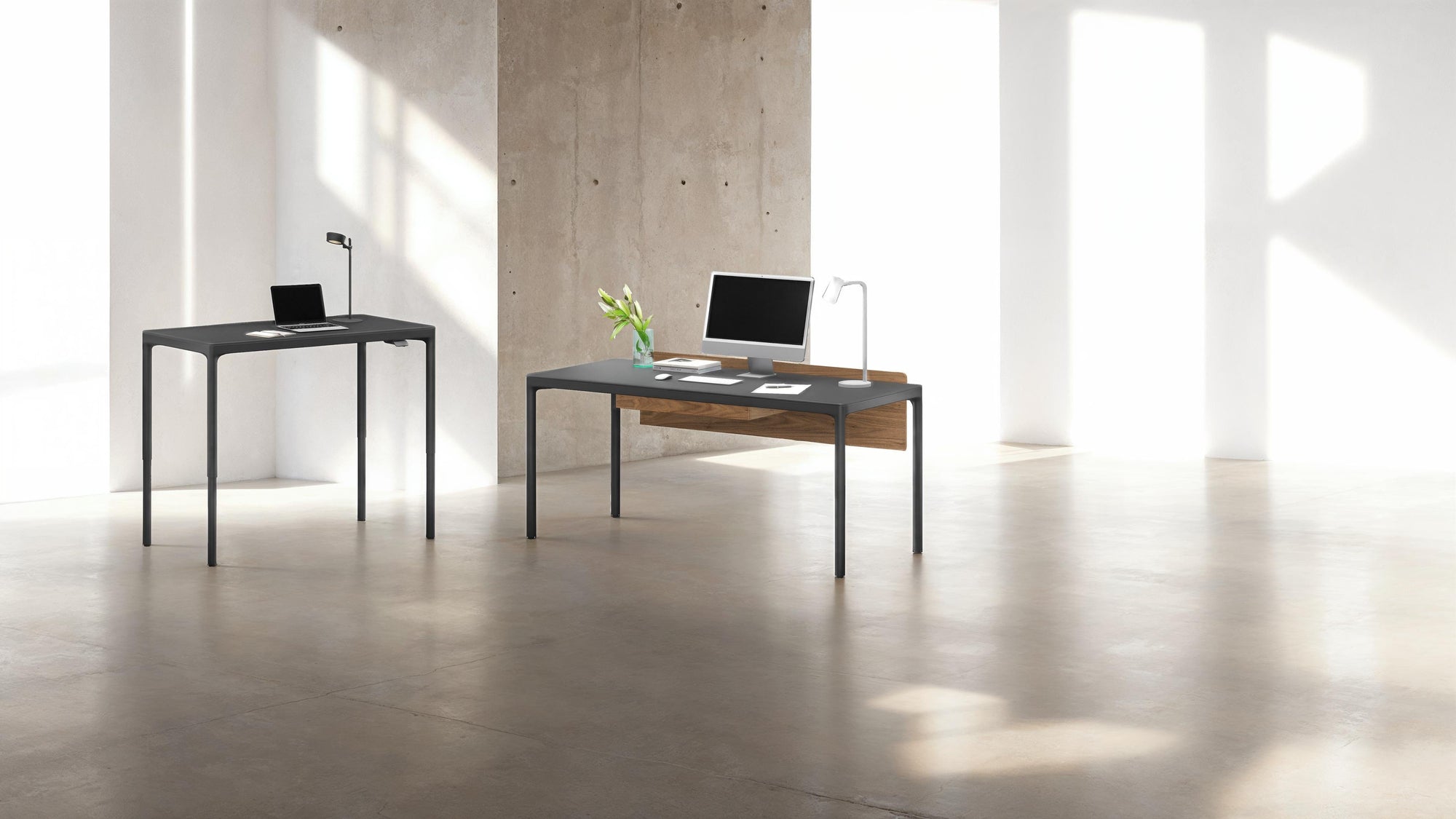 BDI Luma Compact Lift Desk 6761