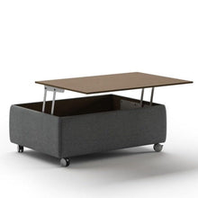 Luonto Functional Coffee Table