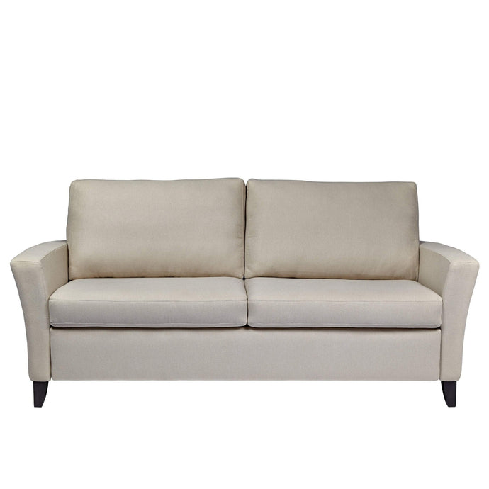 Comfort Sleepers American Leather