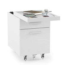 BDI Centro Mobile File Pedestal