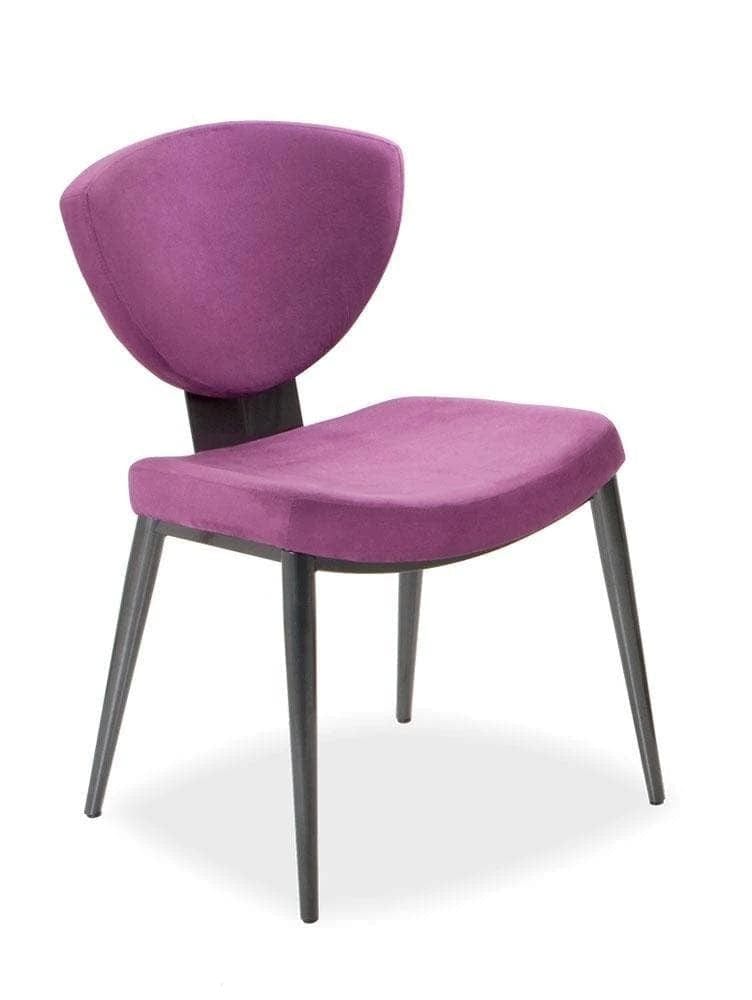Elite shop dining chairs